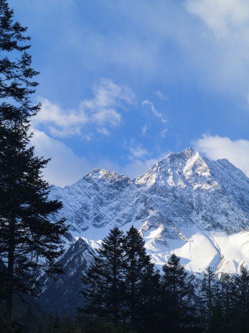 Xi extends condolences over Hong Kong building fire urges allout rescue efforts to minimize losses